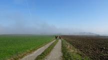 ein Blick zur�ck 